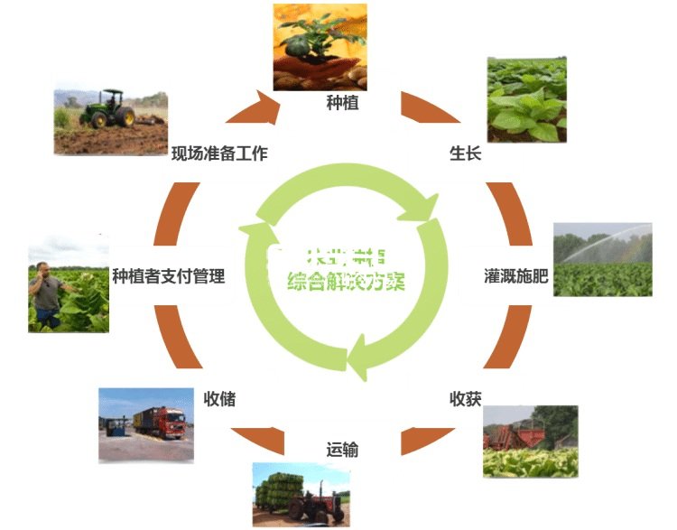 生态农业经营模式